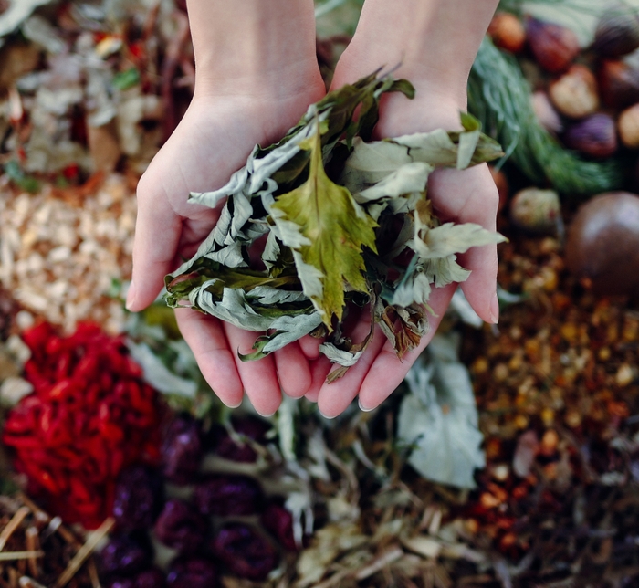 3つの要素(1)野草という「素材」