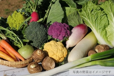 ＪＡよこすか葉山の大型直売所スタッフが厳選！「すかなごっそ 季節の野菜セット」の販売を開始