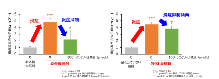 図３ 表皮細胞における紫外線及び酸化した脂質による炎症に対するパンテノールの抑制作用