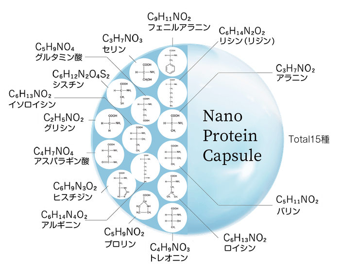 ナノプロテインカプセルイメージ