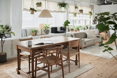 家具と植物が織りなす新発想EC『tiflo』オープン！ 暮らしを彩る新たなオンライン体験を提供