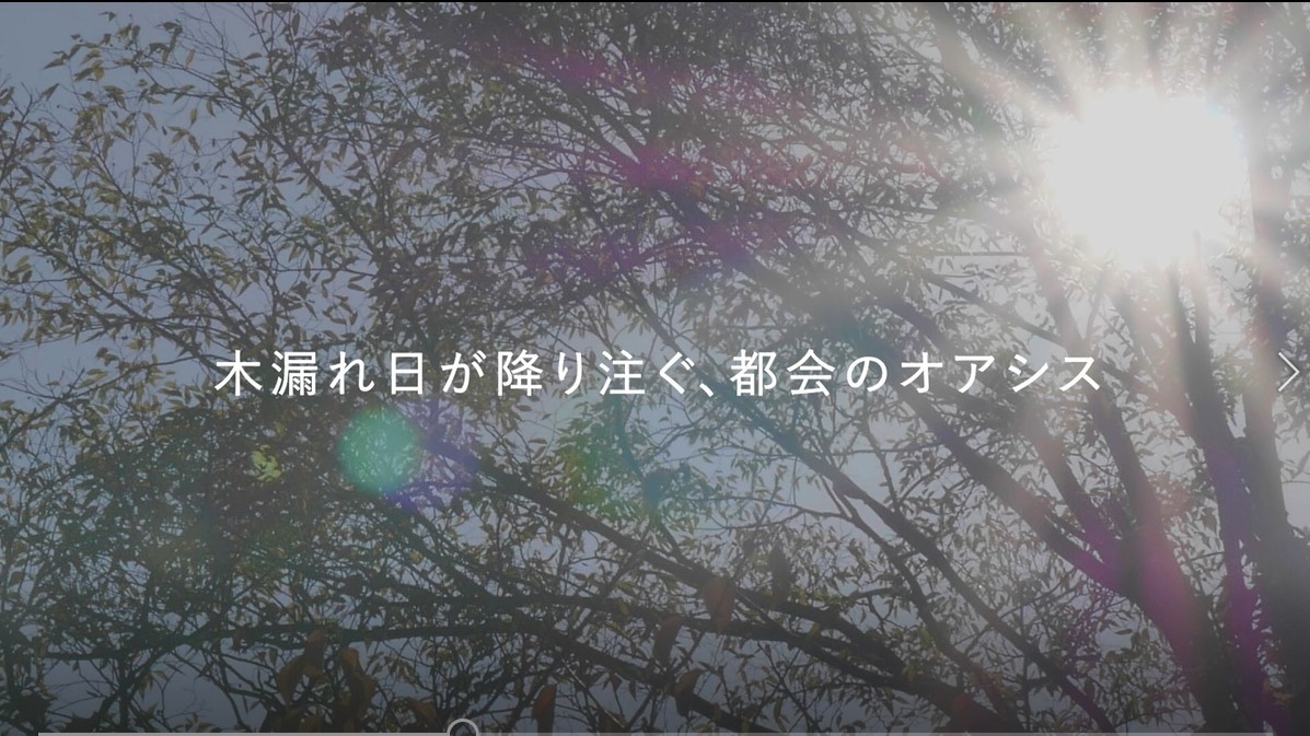 Chapter3 木漏れ日がふりそそぐ、都会のオアシス
