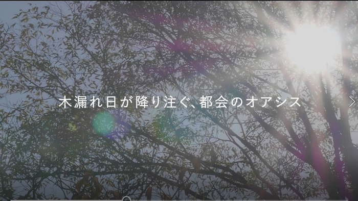 Chapter3 木漏れ日がふりそそぐ、都会のオアシス