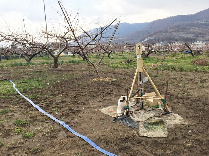 IT企業が桃づくり?スマート農業への挑戦!東和AGワークス株式会社を設立