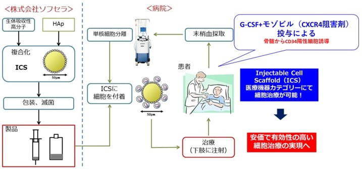 図1 医療機器カテゴリーでの重症下肢虚血に対する細胞治療
