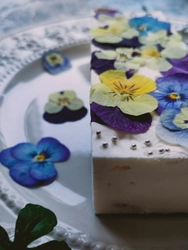 お中元・サマーギフトにぴったり！ヘルシーで見た目もかわいい 「ビオラ＆果物のレアチーズケーキ」7月より販促強化を実施