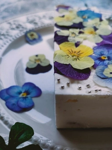 お中元・サマーギフトにぴったり！ヘルシーで見た目もかわいい 「ビオラ＆果物のレアチーズケーキ」7月より販促強化を実施