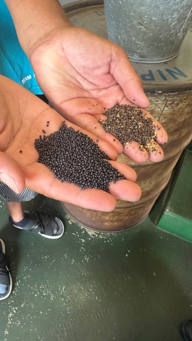 純度100％のほうろく油