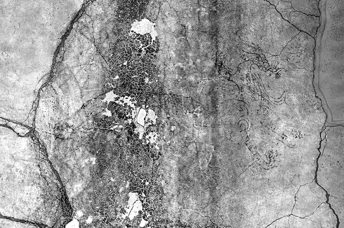 【画像1】青龍図像の赤外線写真(1550nm)2024年12 月