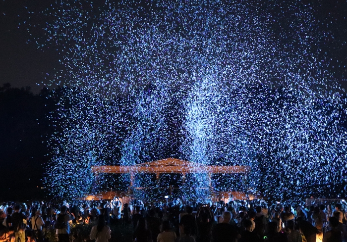 「バブルミネーション」 （令和６年７月撮影）  