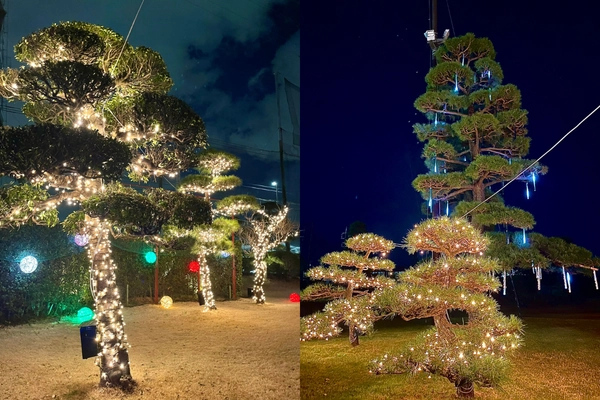 “光の中で打つ”新感覚ゴルフ体験！座間の夜を彩る 『ZAMA GOLF ナイトイルミネーション 2025』が開幕