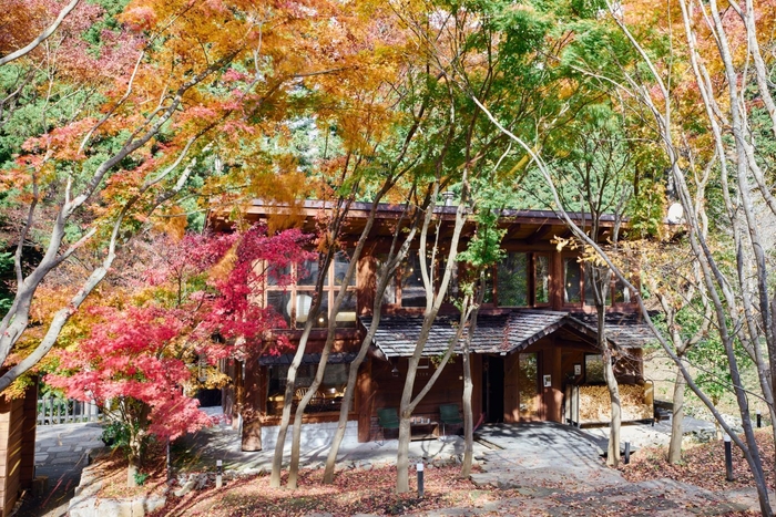 キャンパスのような紅葉【山梨】