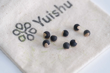 世界初！ペットのDNAを植物に宿し、喪失の痛みを癒す 新サービス『Yuishu(ゆいしゅ)』を4月24日に提供開始