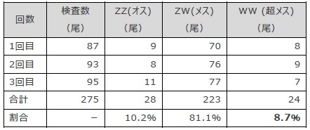 表3 ロシアチョウザメの雌性発生群の遺伝型の割合
