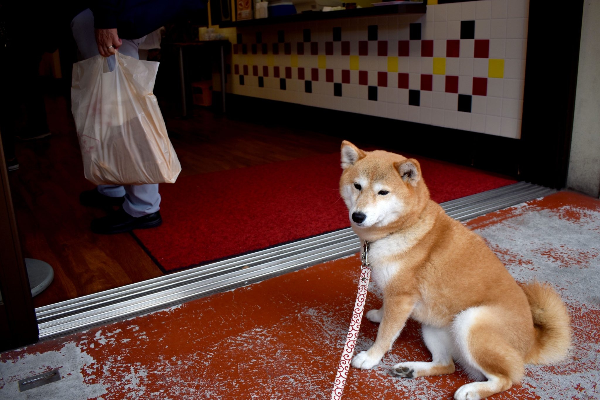 散歩に行っていてついついお店に寄り道しようとして、犬をお店の近くにつないでしまうことがありますよね。そうすると次のようなトラブルが起こることがあります。