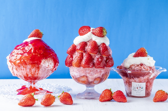 かき氷2025　※写真はイメージです