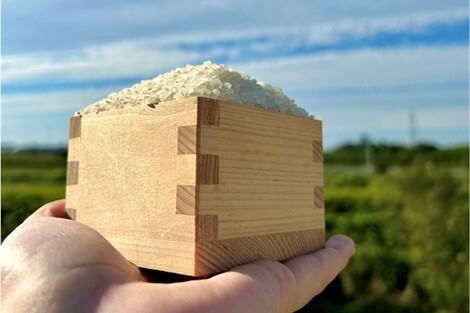 千葉県産「粒すけ」新米 升盛り放題