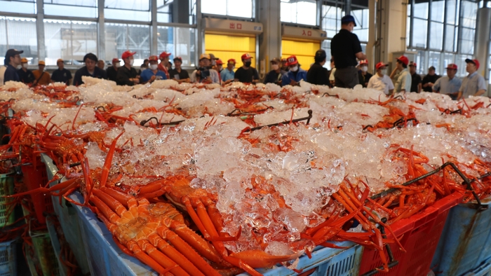 ベニズワイガニ初セリ式(提供:境港観光協会)