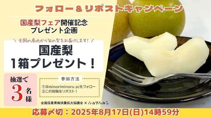 フォロー&リポストキャンペーン