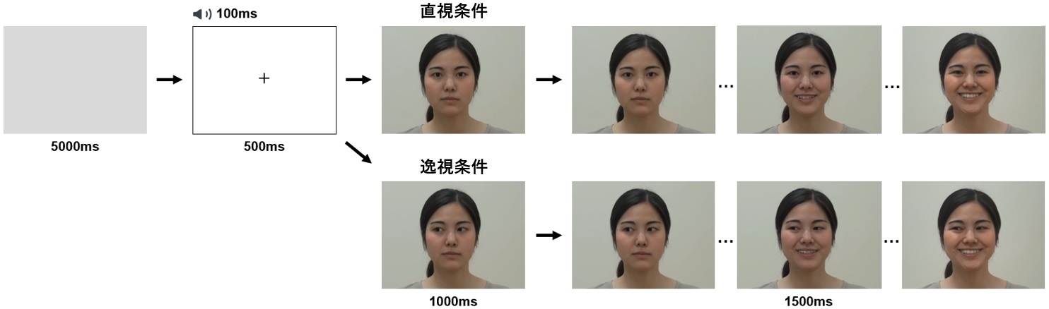 図1:直視条件と逸視条件