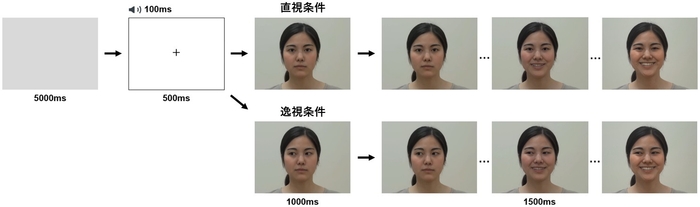 図1:直視条件と逸視条件
