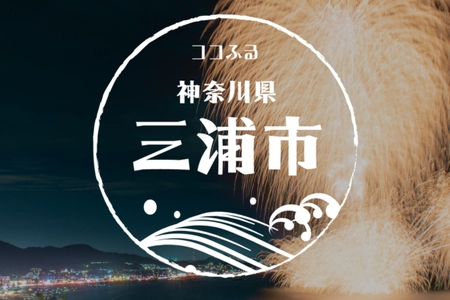 現地でつかえるふるさと納税「ココふる」関東圏初上陸！ 神奈川県三浦市でサービス開始、マリンレジャーなど「旅の体験」をお礼の品に