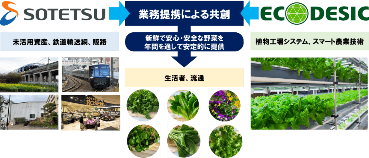 本実証事業における各社の役割(イメージ)