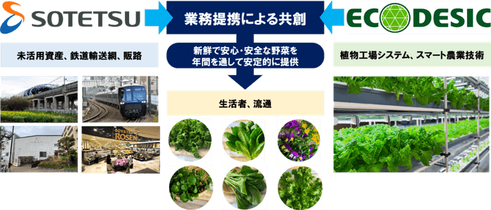 本実証事業における各社の役割(イメージ)