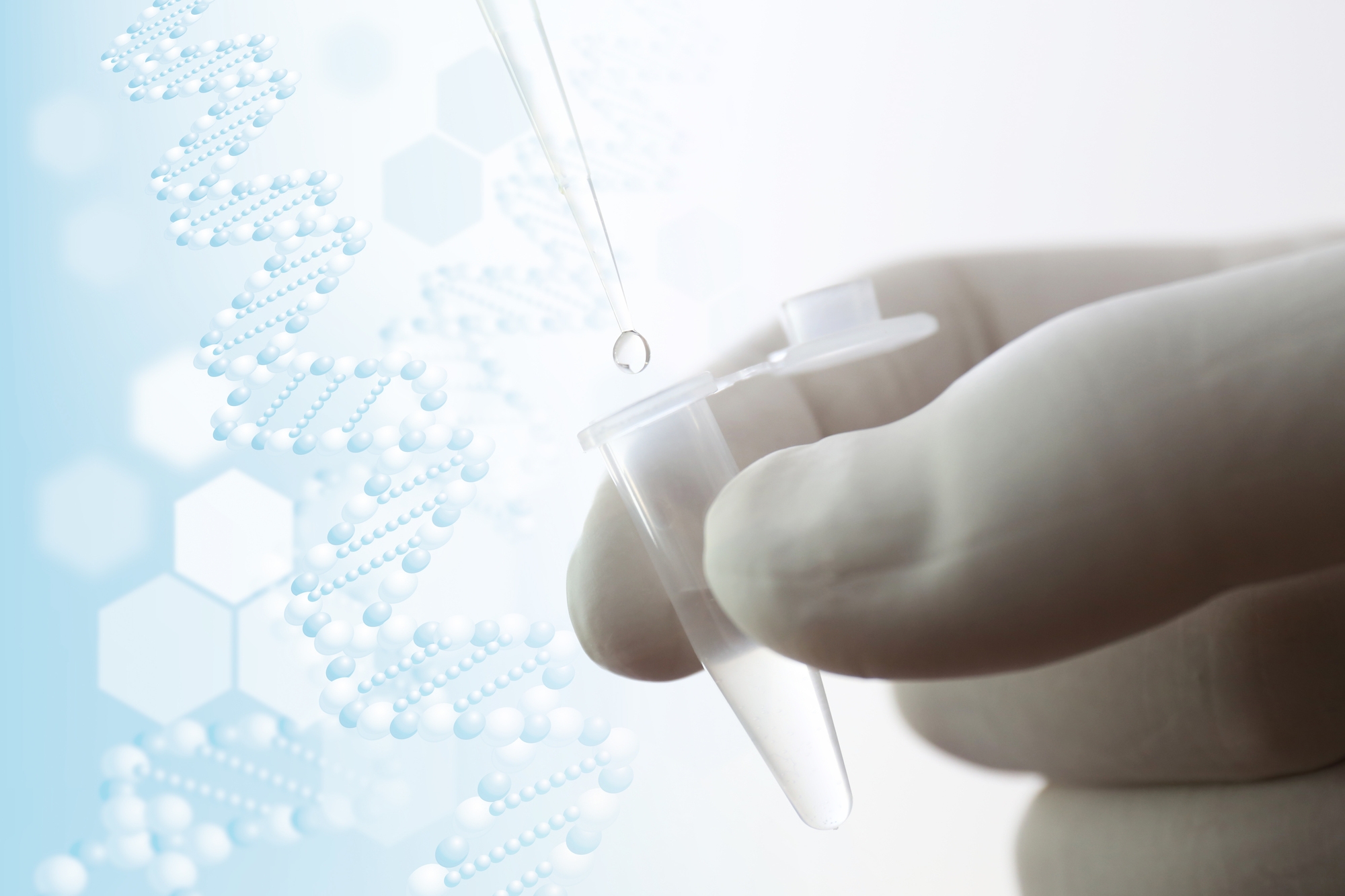 生原基対応プラスミド製造イメージ