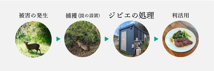 キョン利活用の全体像