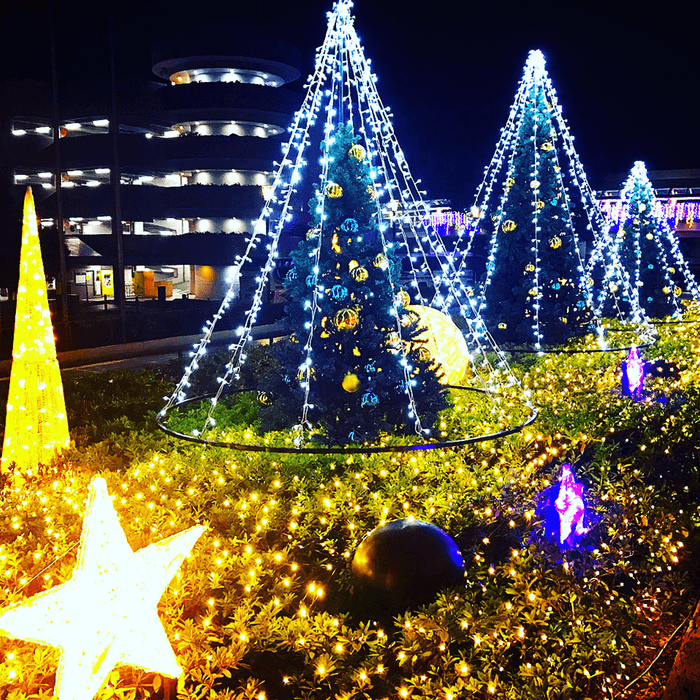 エントランス前植込み イルミネーション