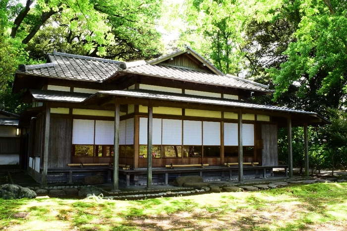 会場:心泉亭