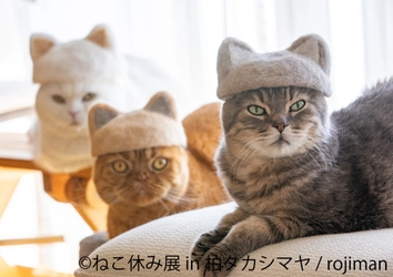 10周年記念♪新作展示や歴代のスター猫が大集結する 特別な「ねこ休み展」が柏タカシマヤで3月27日(木)～開催！