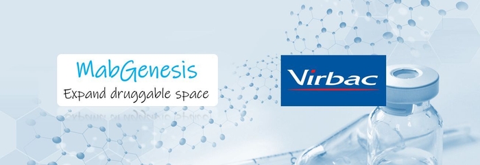 MabGenesis×ビルバック