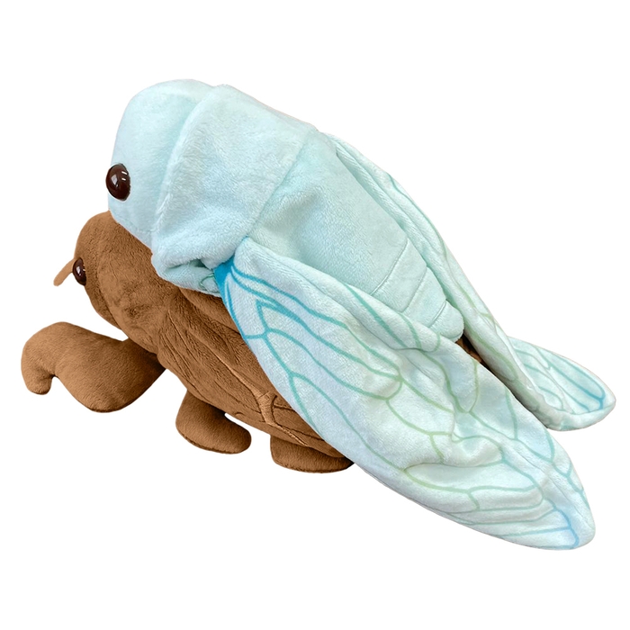 抜け殻からセミぬいぐるみ1