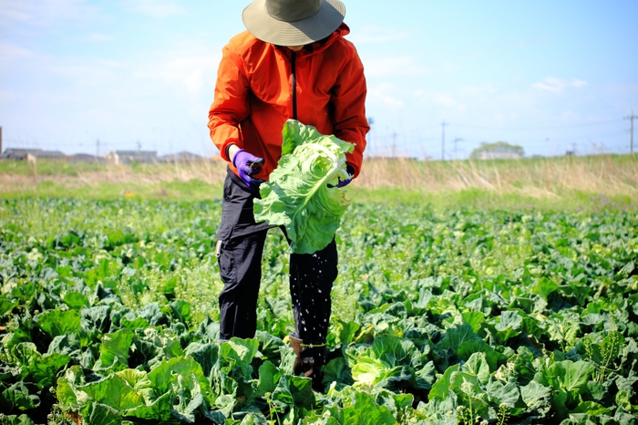 内山農園 内山颯太さん