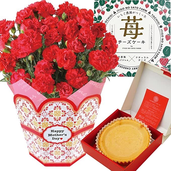 花のギフト社 カーネーション×いちごの里 いちご畑のチーズケーキ