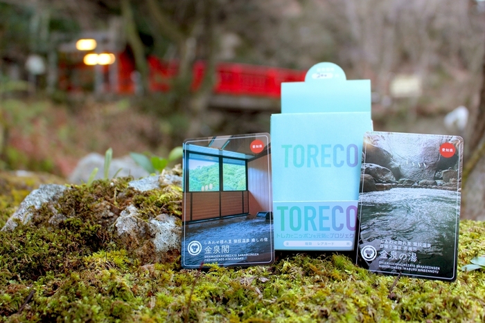 金泉閣と金泉の湯温泉トレコ