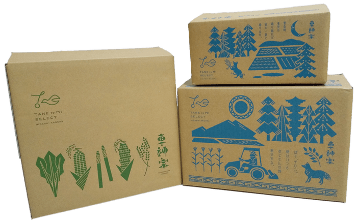 種と実セレクトオリジナルBOX3種類