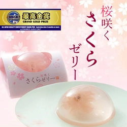 春色の可憐な「桜咲く　さくらゼリー(R)」　 パッケージをリニューアルし販売を開始！