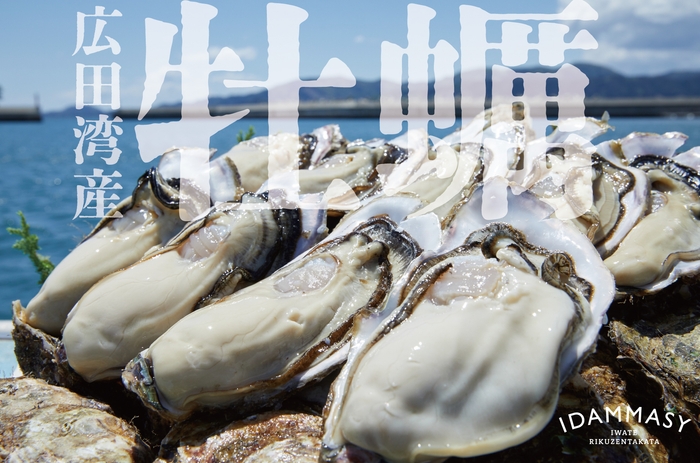 広田湾産牡蠣2