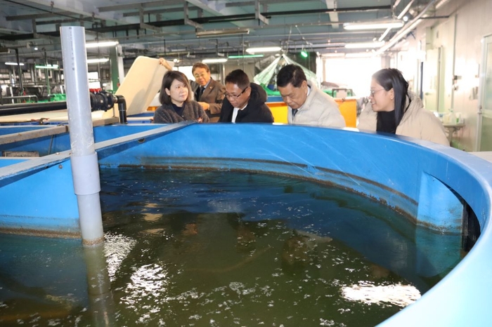 ニホンウナギの水槽をのぞき込んで見るルイナタ統括部長(右から3人目)ら