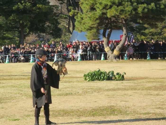 放鷹術の実演(過去の様子)