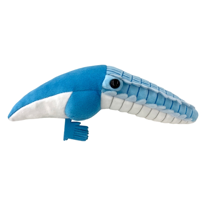 絶滅生物ぬいぐるみ_エーギロカシス