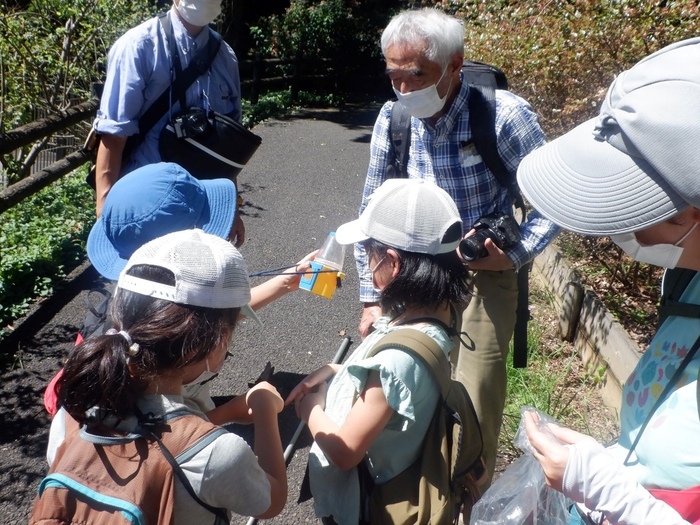 先生!この虫は何?