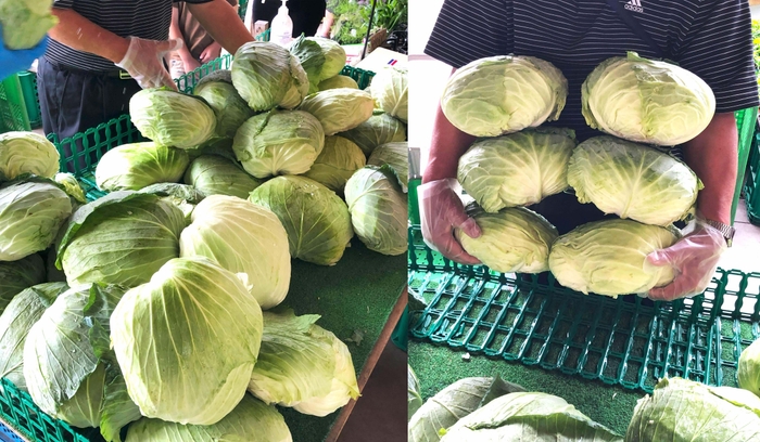 キャベツ抱え込み放題(1/25~計2回予定)