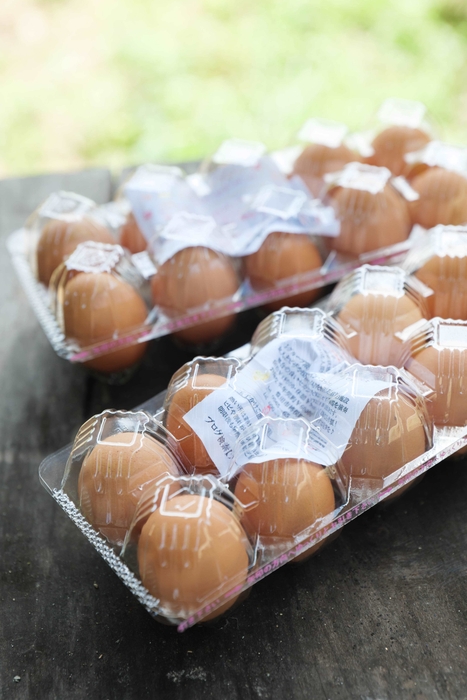 ファームイン木&木3