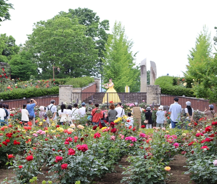 ローズコンサート（昨年度の様子）