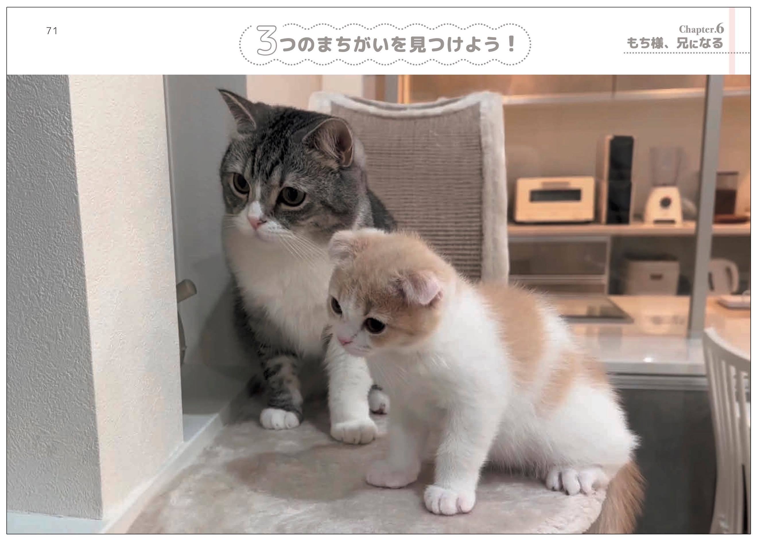 ながめて楽しむ写真集としても!