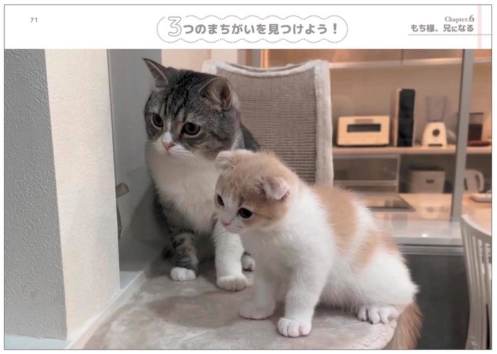 ながめて楽しむ写真集としても!